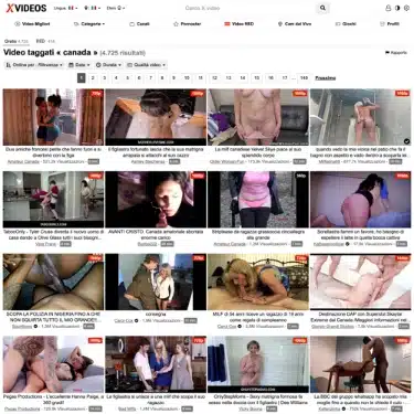 About XVideos